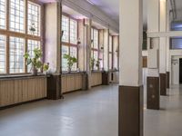 an empty corridor filled with plants and potted plants that are on the walls of some windows