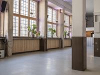 an empty corridor filled with plants and potted plants that are on the walls of some windows