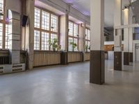 an empty corridor filled with plants and potted plants that are on the walls of some windows