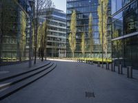 a walkway in front of large glass buildings with trees growing outside the plaza at the bottom