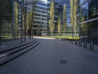 a walkway in front of large glass buildings with trees growing outside the plaza at the bottom