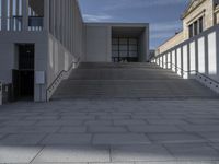 a stone walkway and staircases lead into a building with a door and windows in front