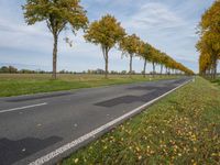 Berlin's Gloomy Autumn Landscape