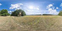 this is an image of the field and some trees in it, as a fisheye view