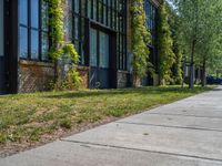 Exploring Berlin's Hinterhof and City Life