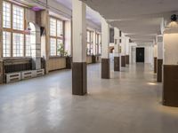 a room filled with lots of windows and white pillars with purple lights on top of them