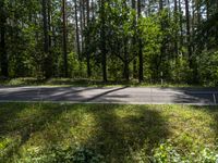 Berlin Land Lot with Asphalt Road and Forest