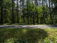 Berlin Land Lot with Asphalt Road and Forest