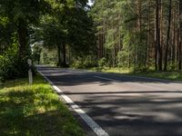 the road goes to the trees in the forest, and there is an empty road