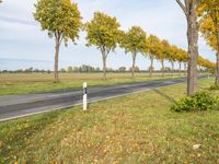 Berlin Landscape: Autumn Tree Road in Germany