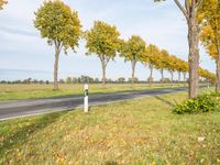 Berlin Landscape: Autumn Tree Road in Germany