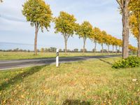 Berlin Landscape: Autumn Tree Road in Germany