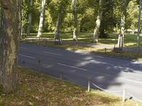 a street is surrounded by trees and leaves, with benches at the side of the road