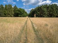 Berlin Landscape: Open Space and Clouds