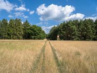 Berlin Landscape: Open Space and Clouds