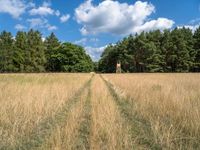 Berlin Landscape: Open Space and Clouds