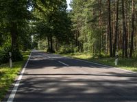 an empty road with the trees to the side of it and some green grass on the other side