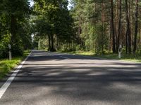 an empty road with the trees to the side of it and some green grass on the other side