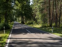 an empty road with the trees to the side of it and some green grass on the other side