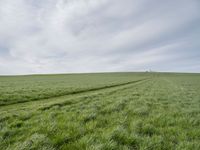 an open field with green grass and a farm in the distance under a cloudy sky