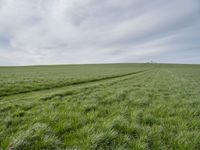 an open field with green grass and a farm in the distance under a cloudy sky