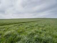 an open field with green grass and a farm in the distance under a cloudy sky