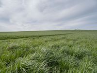 an open field with green grass and a farm in the distance under a cloudy sky