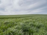 an open field with green grass and a farm in the distance under a cloudy sky