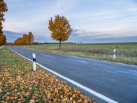 Berlin Landscape: Nature, Trees, and Clear Skies