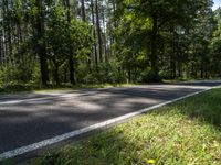 Berlin Landscape: Road Through the Forest on a Sunny Day