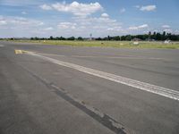 Berlin Landscapes: Asphalt Roads Amidst Nature