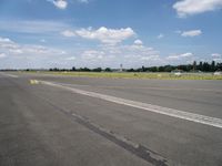 Berlin Landscapes: Asphalt Roads Amidst Nature