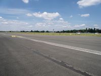 Berlin Landscapes: Asphalt Roads Amidst Nature