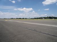 Berlin Landscapes: Asphalt Roads Amidst Nature