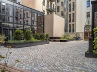 an empty parking lot with plants in the ground and on the side of the building, there is an enclosed area and windows