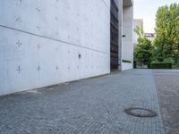 an empty paved area near a very large building with a small round metal door and two trees