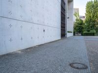 an empty paved area near a very large building with a small round metal door and two trees