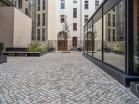 an empty parking lot with plants in the ground and on the side of the building, there is an enclosed area and windows