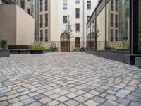 an empty parking lot with plants in the ground and on the side of the building, there is an enclosed area and windows