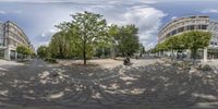 a street with several cars sitting on the side walk in the sun and a person riding a bike near the trees