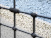 a woman walking next to the water near a bench and fence with a bird in it
