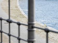 a woman walking next to the water near a bench and fence with a bird in it