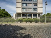 a dog in front of an apartment building, as the image shows in the city