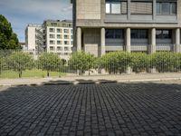 a dog in front of an apartment building, as the image shows in the city