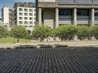 a dog in front of an apartment building, as the image shows in the city