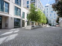 two courtyards, in the middle of the city are very neat, but have little trees and bushes