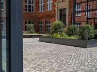 several plants sit in decorative concrete planters along the sidewalk of a building that is very modern