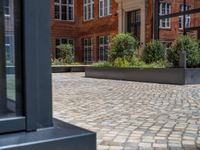 several plants sit in decorative concrete planters along the sidewalk of a building that is very modern