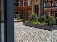 several plants sit in decorative concrete planters along the sidewalk of a building that is very modern