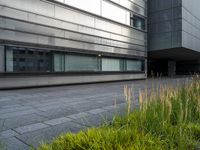 a large building that is next to some grass and water plants outside it is gray and there is tall, yellow, green grass